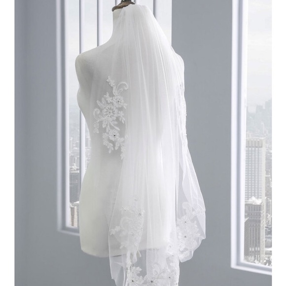 Wedding Dress & Veil - Picture 15 of 16